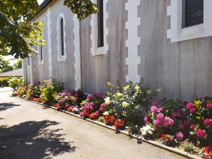 Floraison autours de l'église d'Azur