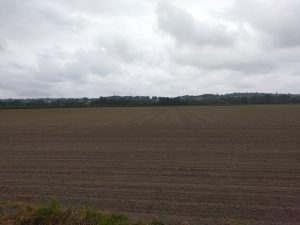 Au milieu des champs