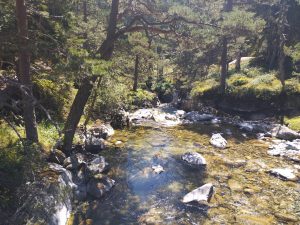 Le calme de la montagne