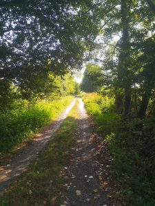 C'est gravel, ça passe en 25mm