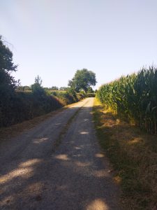 De nouveau du gravel