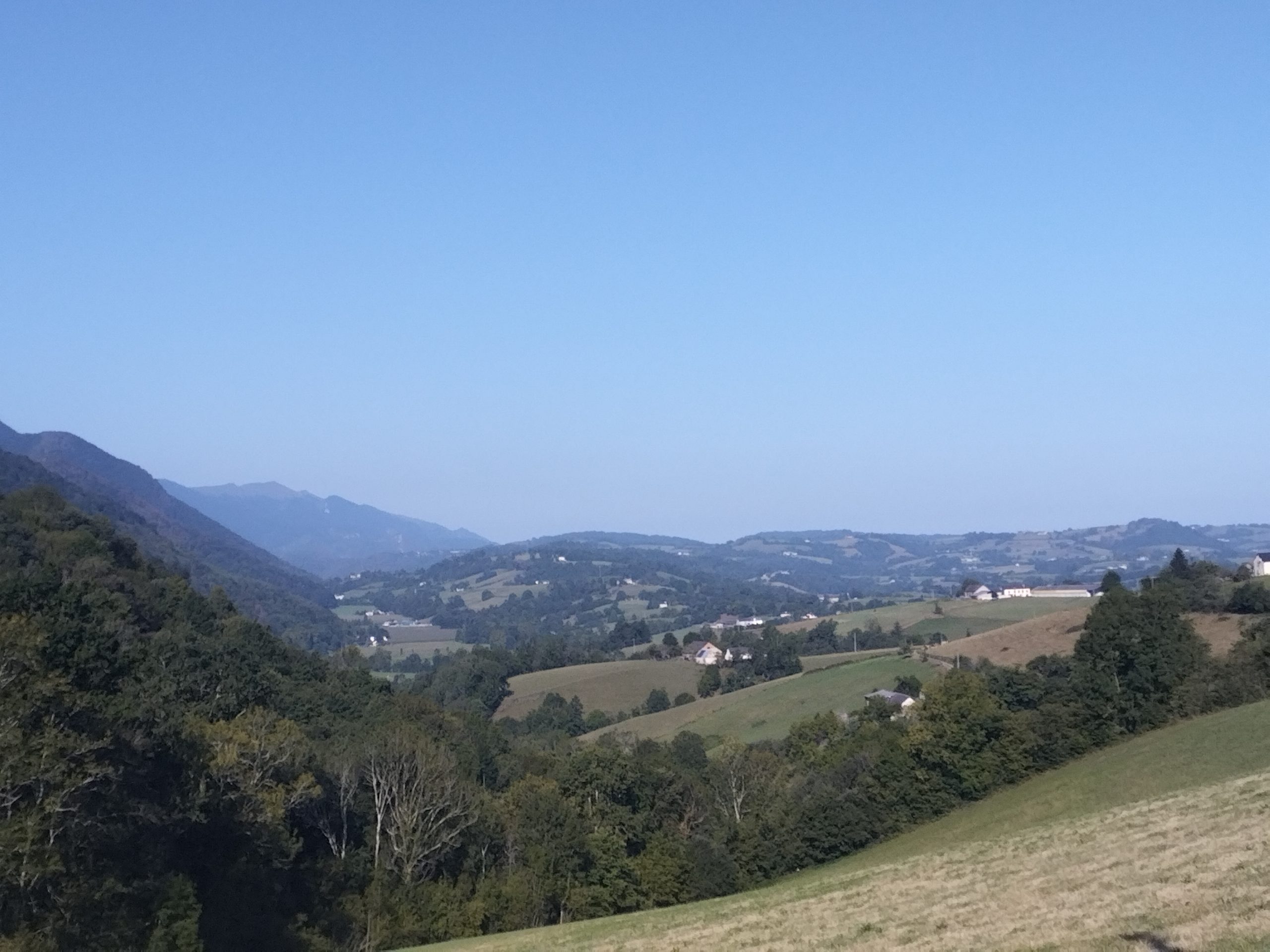 Piémont pyrénéen