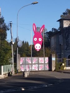 Une âne rose pour Octobre Rose