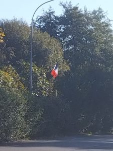 Un drapeau tricolore au milieu de la verdure
