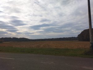 Au milieu des champs