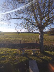 L'endroit idéal pour une pause