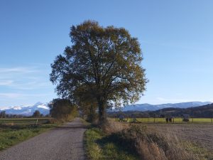 Ici, c'est silence total