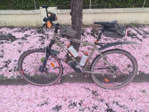 "Beige Jumper" se repose