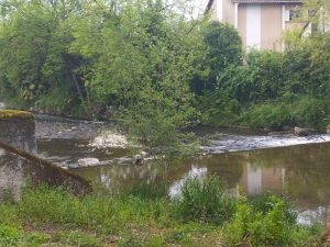 Jolie partie du Gave du Pau