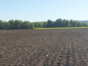 C'est beau la campagne