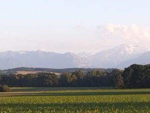 C'est beau