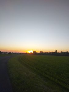 Soleil couchant